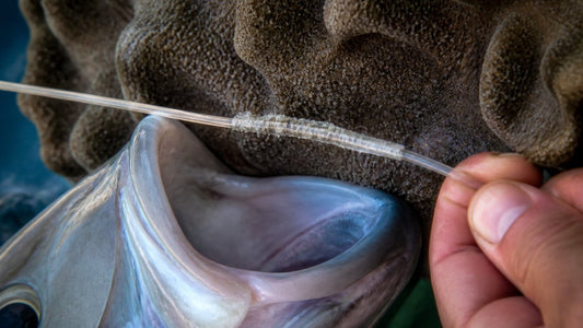 Protecting Offshore Leaders from Coral Abrasion